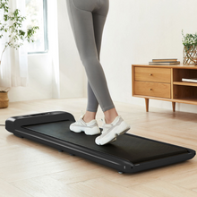 Load image into Gallery viewer, Lifespan Fitness WalkingPad™ M2 Treadmill
