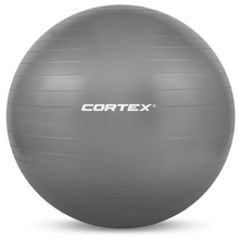 Load image into Gallery viewer, FB75G Fitness Ball 75cm Grey
