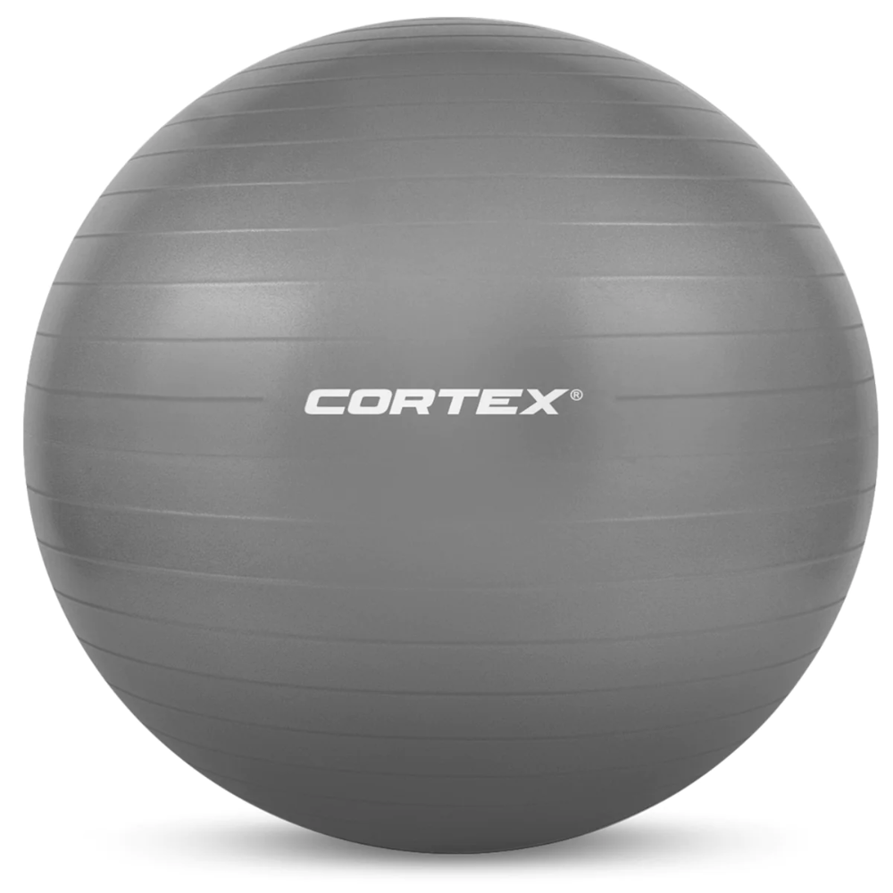 FB75G Fitness Ball 75cm Grey