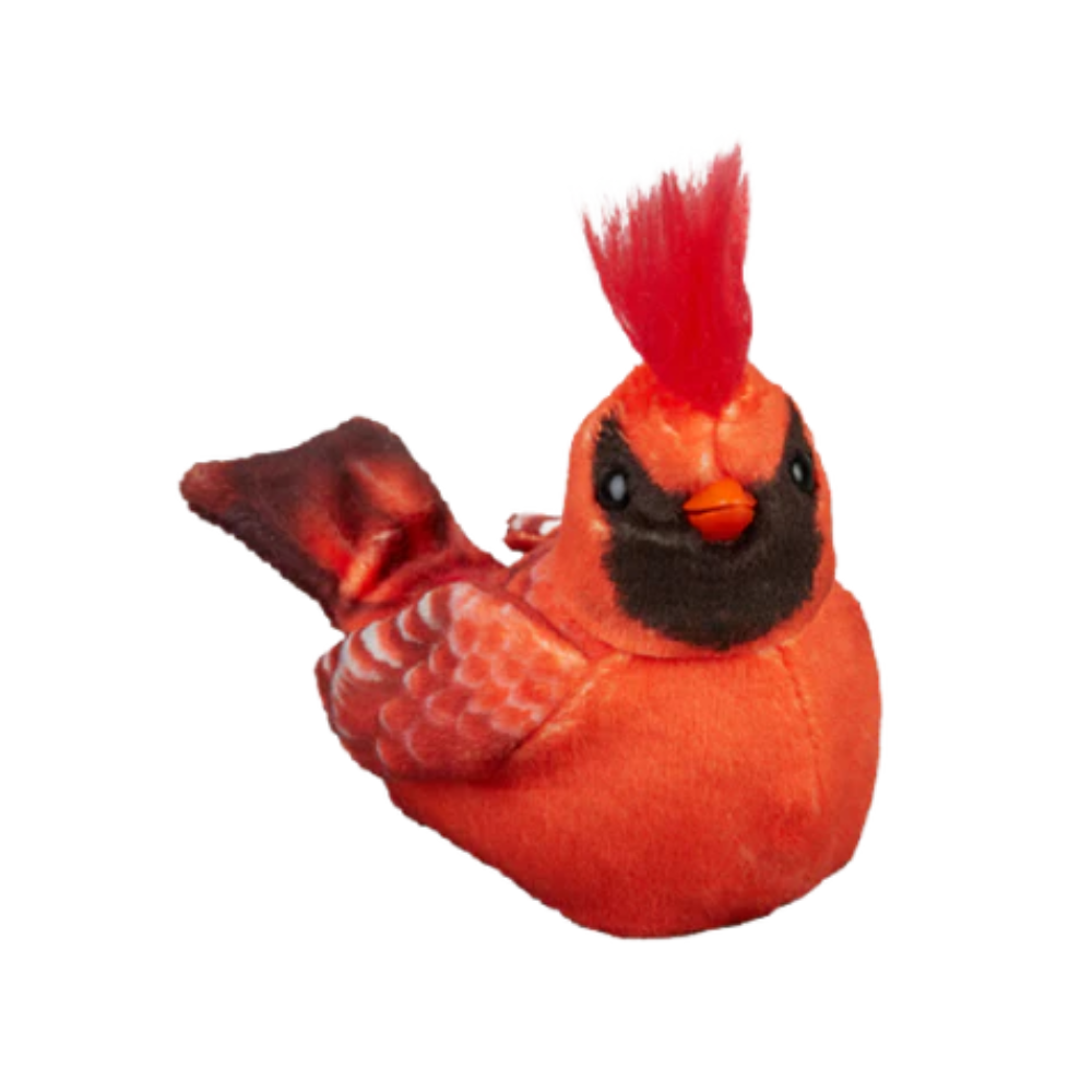 Walker Squawkers - Robotic Companion Bird