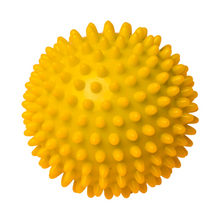 Load image into Gallery viewer, Sanarte Therapy Ball
