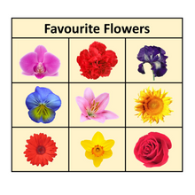 Load image into Gallery viewer, Montessori Matching Activities PDF
