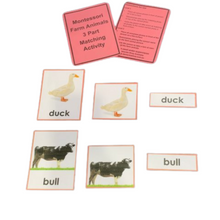 Load image into Gallery viewer, Montessori Three Part Matching Activity Level 3
