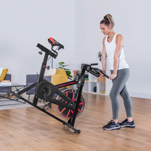 Load image into Gallery viewer, Lifespan SP-310 (M2) SPIN BIKE
