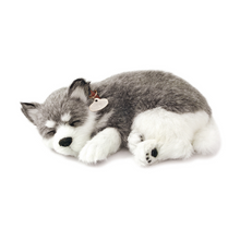 Load image into Gallery viewer, Perfect Petzzz - Realistic Robotic Sleeping Puppies &amp; Kittens
