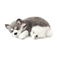 Load image into Gallery viewer, Perfect Petzz - Realistic Robotic Sleeping Puppies &amp; Kittens
