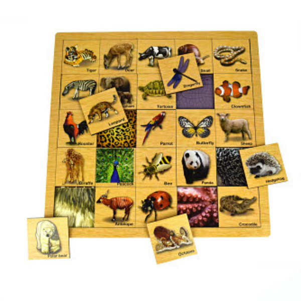 Animal Skin Matching Puzzle