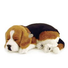 Load image into Gallery viewer, Perfect Petzz - Realistic Robotic Sleeping Puppies &amp; Kittens
