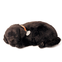 Load image into Gallery viewer, Perfect Petzz - Realistic Robotic Sleeping Puppies &amp; Kittens
