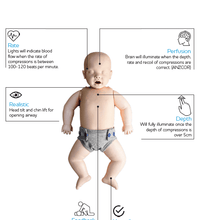 Load image into Gallery viewer, Baby CPR Manikin

