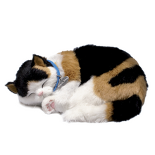 Load image into Gallery viewer, Perfect Petzz - Realistic Robotic Sleeping Puppies &amp; Kittens
