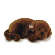 Load image into Gallery viewer, Perfect Petzzz - Realistic Robotic Sleeping Puppies &amp; Kittens
