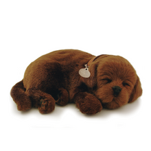 Load image into Gallery viewer, Perfect Petzz - Realistic Robotic Sleeping Puppies &amp; Kittens
