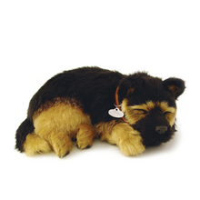 Load image into Gallery viewer, Perfect Petzz - Realistic Robotic Sleeping Puppies &amp; Kittens
