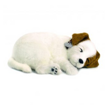 Load image into Gallery viewer, Perfect Petzz - Realistic Robotic Sleeping Puppies &amp; Kittens
