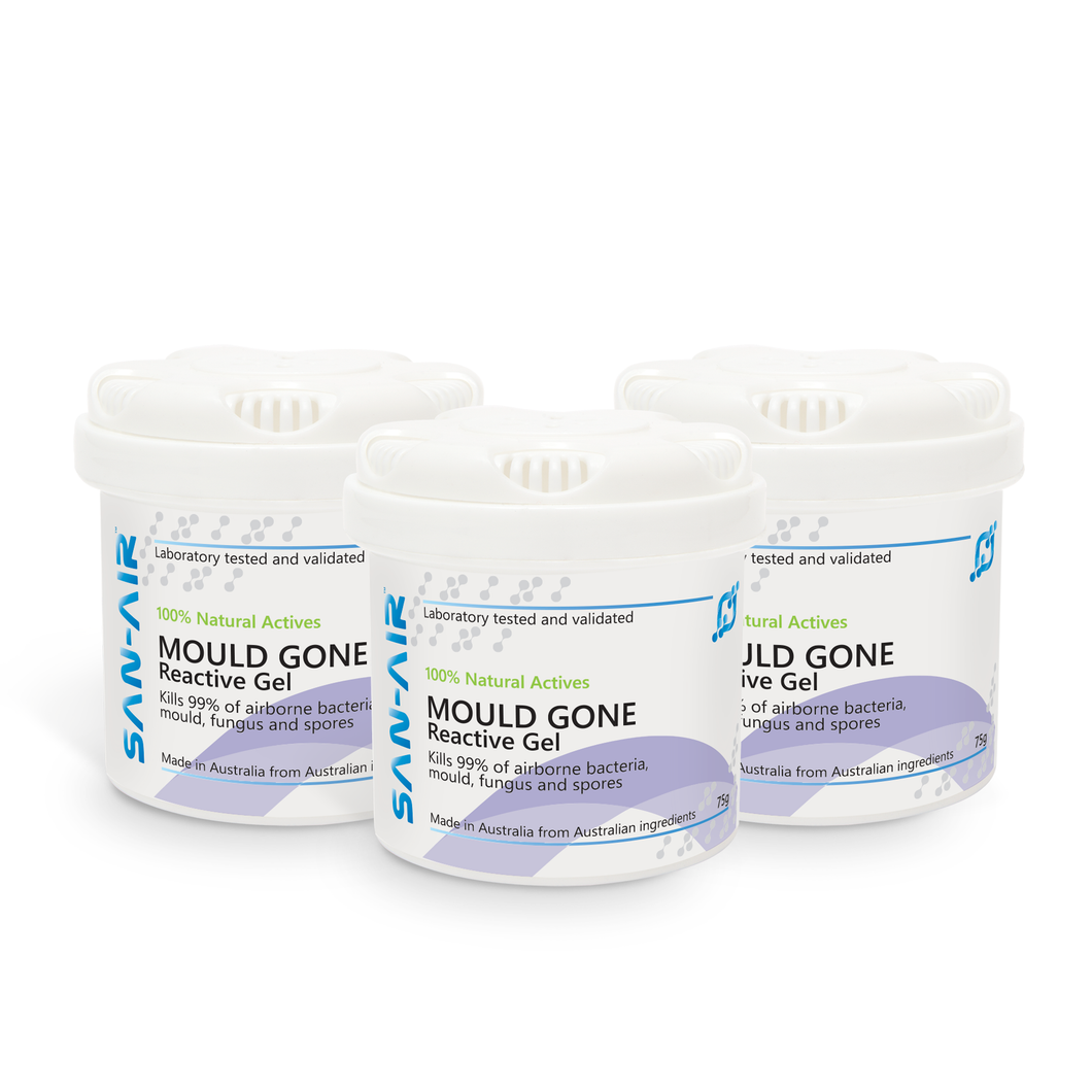SAN-AIR Mould Gone 75g x 3 Gels