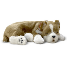 Load image into Gallery viewer, Perfect Petzz - Realistic Robotic Sleeping Puppies &amp; Kittens
