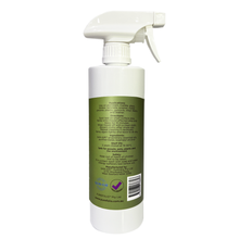 Load image into Gallery viewer, PUREFOLIO Surface Mould Remover 500ml Spray
