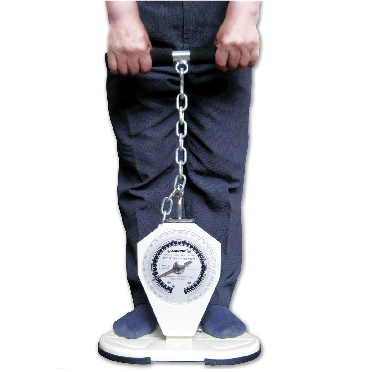 Saehan Heavy Duty Back Leg Chest Dynamometer – HMGDirect