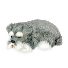 Load image into Gallery viewer, Perfect Petzz - Realistic Robotic Sleeping Puppies &amp; Kittens
