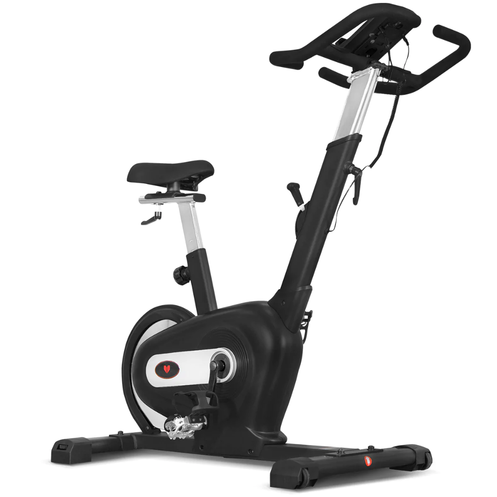 Lifespan Fitness SM-100 Magnetic Spin Bike