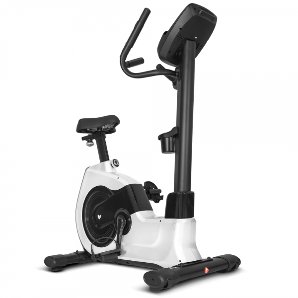 Lifespan EXC-100 Commercial Exercise Bike