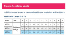 Load image into Gallery viewer, Welcare Breatheasy Breathing Trainer - Low Resistance
