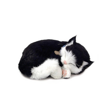 Load image into Gallery viewer, Perfect Petzz - Realistic Robotic Sleeping Puppies &amp; Kittens
