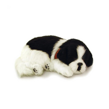 Load image into Gallery viewer, Perfect Petzz - Realistic Robotic Sleeping Puppies &amp; Kittens
