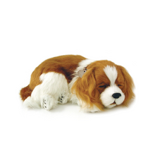 Load image into Gallery viewer, Perfect Petzz - Realistic Robotic Sleeping Puppies &amp; Kittens
