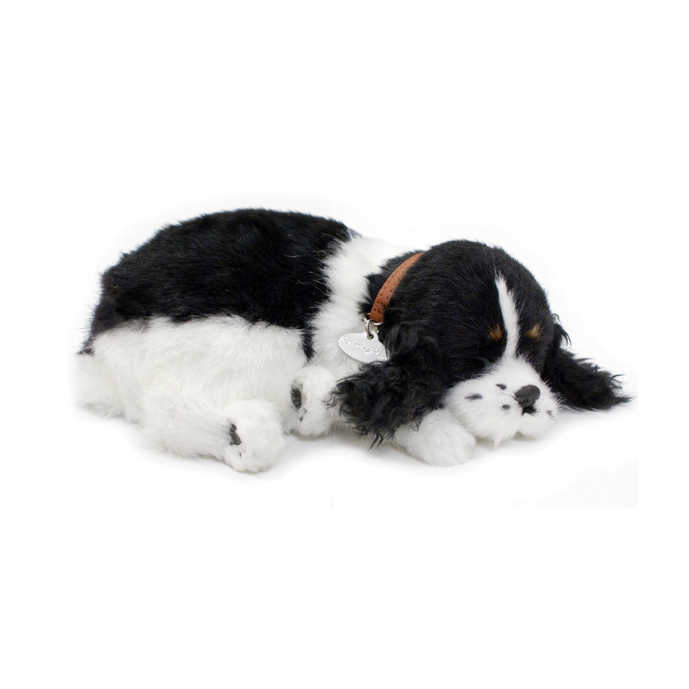 Perfect Petzzz - Realistic Robotic Sleeping Puppies & Kittens