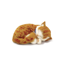 Load image into Gallery viewer, Perfect Petzz - Realistic Robotic Sleeping Puppies &amp; Kittens
