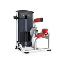 Load image into Gallery viewer, Impulse Fitness IT9532 Commercial Back Extension Machine
