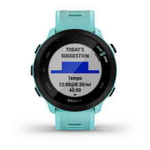 Load image into Gallery viewer, Garmin Forerunner 55 GPS Running Watch
