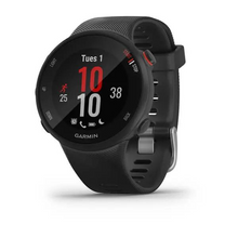 Load image into Gallery viewer, Garmin Forerunner 45S Small GPS Running Watch
