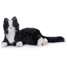 Load image into Gallery viewer, Companion Cats - Lifelike Robotic Pets
