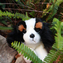 Load image into Gallery viewer, Alex - Lifelike Cavalier King Charles Spaniel Plush Toy 28cm
