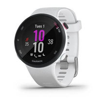Load image into Gallery viewer, Garmin Forerunner 45S Small GPS Running Watch
