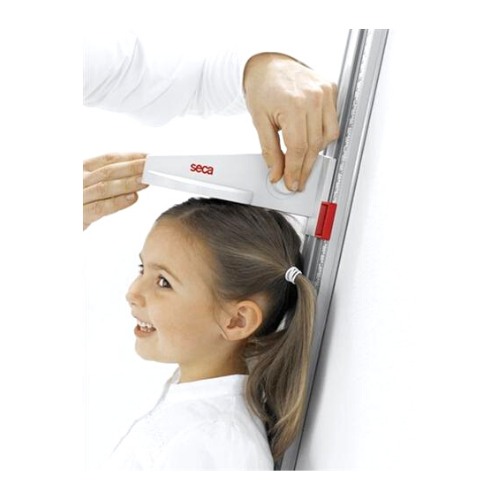 Seca 216 Height Measuring Rod | HMGDIRECT – HMGDirect