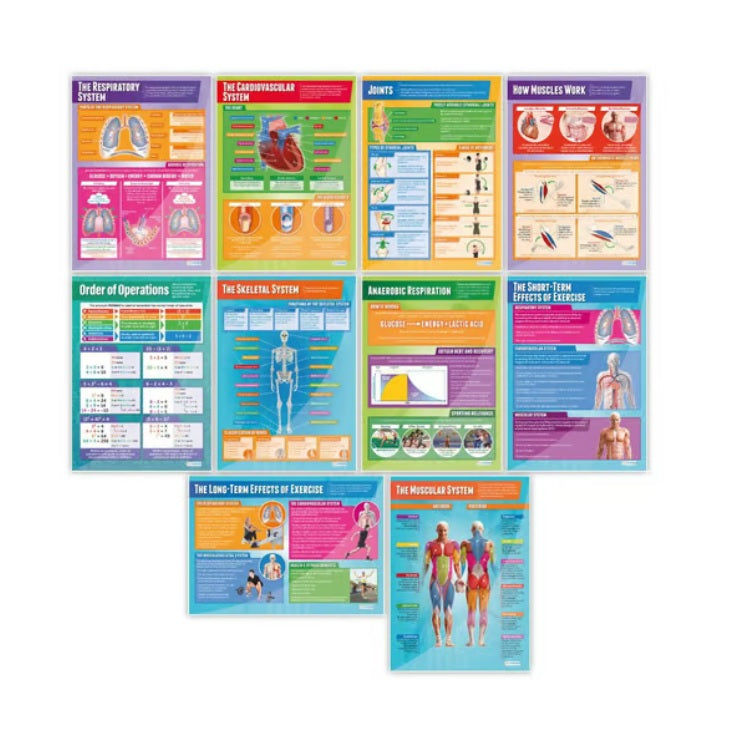 Applied Anatomy & Physiology Posters (9 Posters)