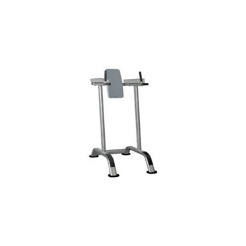 Healthstream Ultimate Commercial Vertical Knee Raise