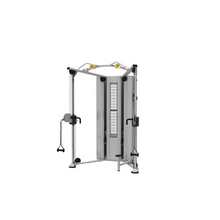Load image into Gallery viewer, Impulse Fitness IT9530 Commercial Dual Adjustable Pulley Machine
