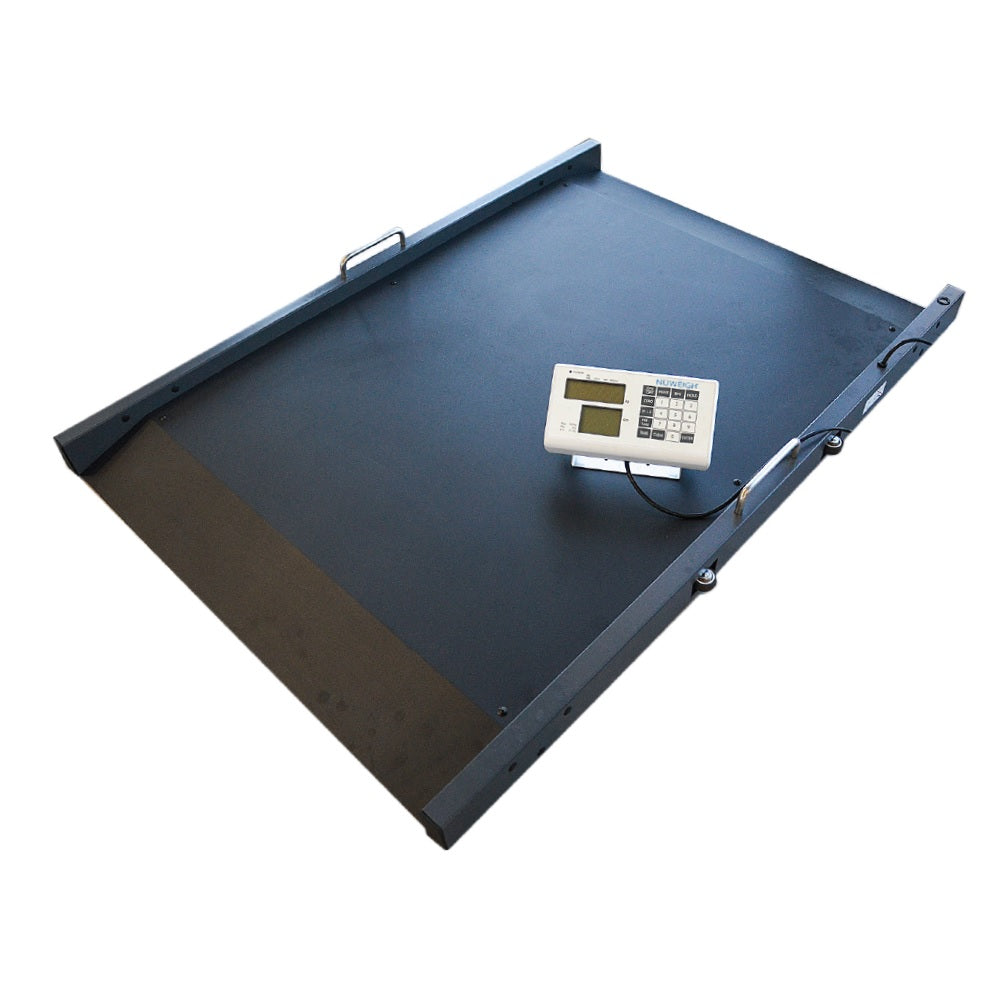 MS3830 Wheelchair Platform Scale (300kg/100g)