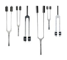 Load image into Gallery viewer, Riester Tuning Fork Set II (Set of 5 Stainless Steel Forks - Made in Germany)
