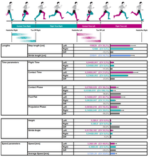 Load image into Gallery viewer, OptoGait Portable Gait Analysis System - Single Meter (Can Also Be Used For Jumping &amp; Running Testing)
